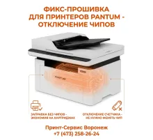 Расчиповка / прошивка принтеров и МФУ Pantum