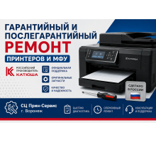 Авторизованный сервисный центр по ремонту принтеров и МФУ «Катюша» в Воронеже
