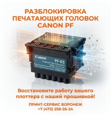 Прошивка заблокированных печатающих головок Canon PF-03, PF-04, PF-05, PF-06